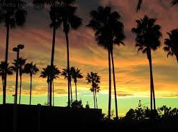 Add to your calendars, IIMUN VII is coming!